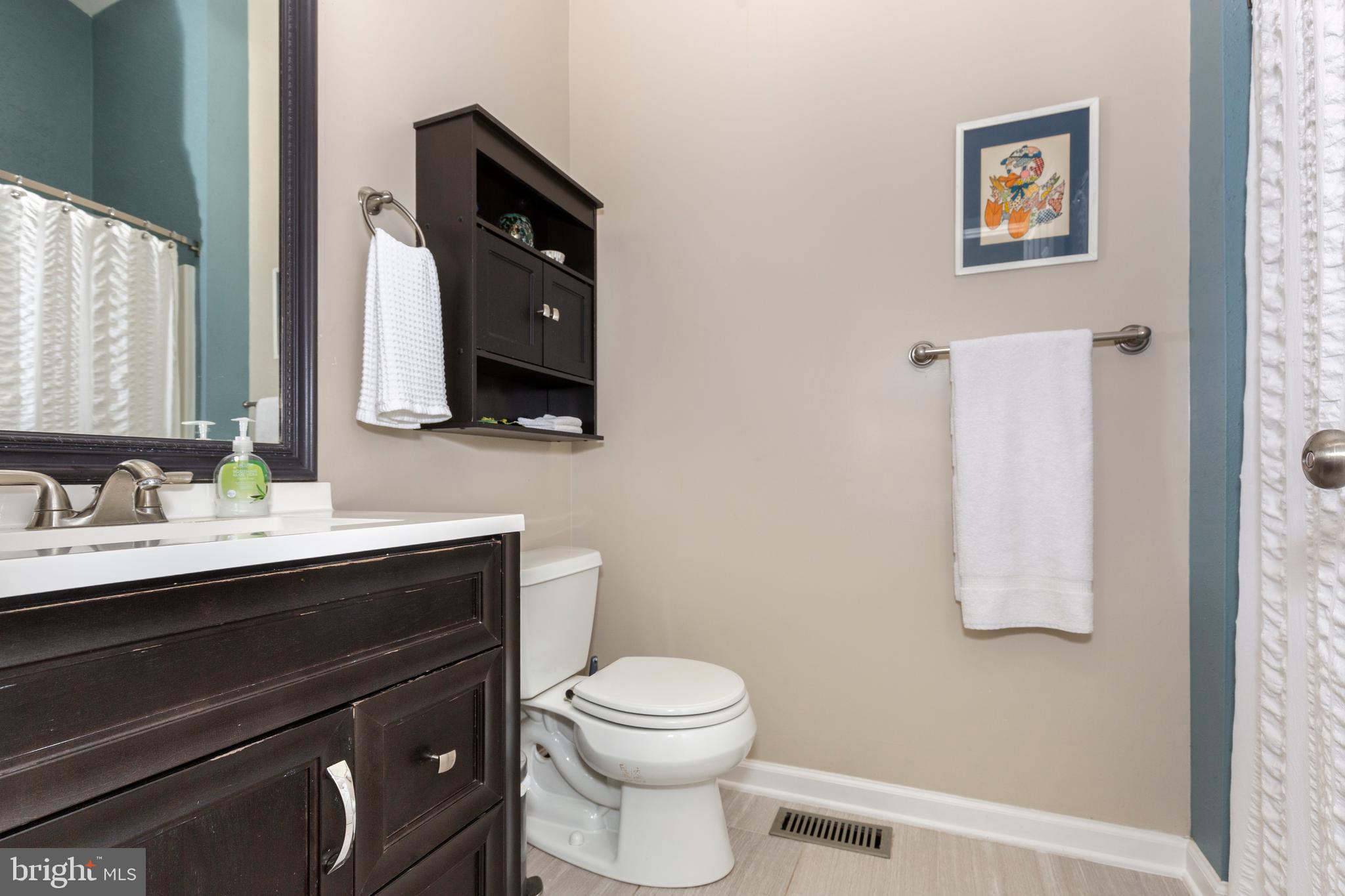 314 Huntinghorn Street Taneytown, MD 21787 - Photo 32 of 47 a bathroom with a toilet a sink and mirror