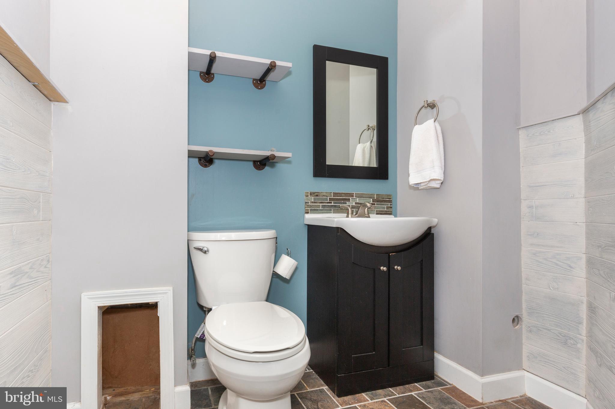 314 Huntinghorn Street Taneytown, MD 21787 - Photo 36 of 47 a bathroom with a sink a toilet and mirror