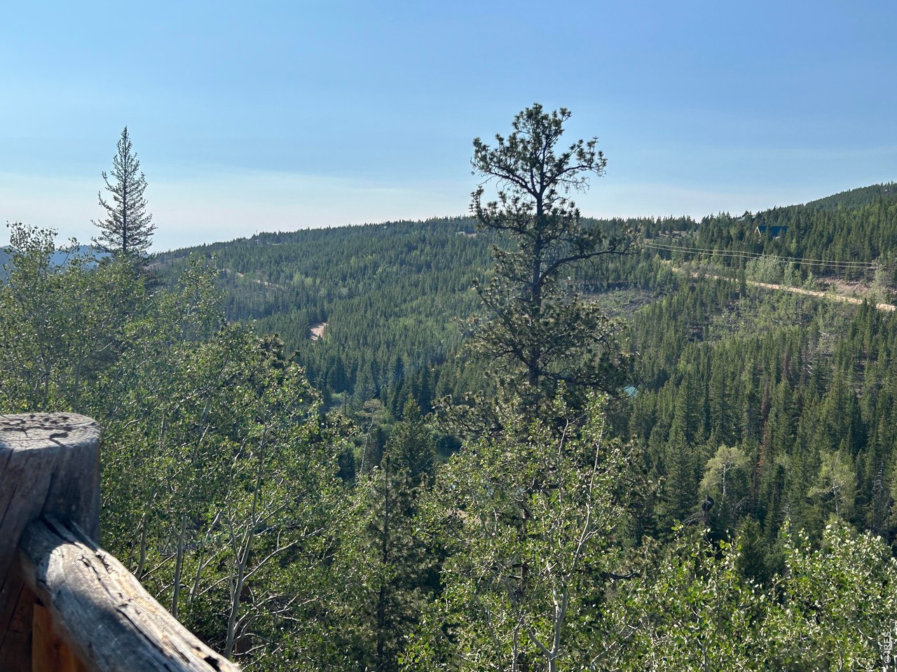 506 Elkridge Road Red Feather Lakes, CO 80545 - Photo 4 of 25 From deck