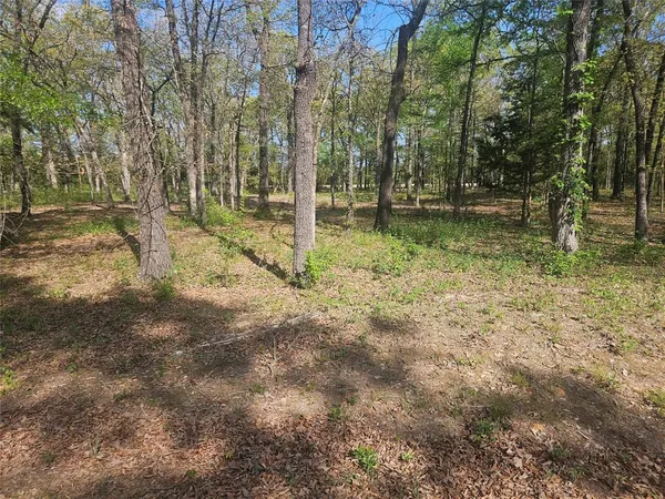 $45,000 | 132 Private Road 44053, Powderly, TX 75473
