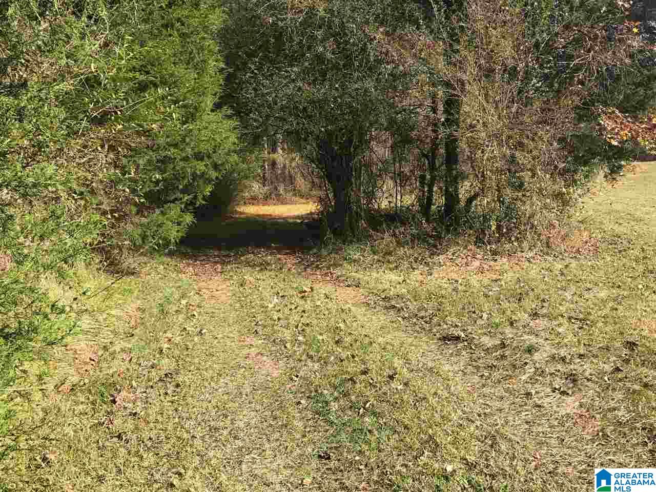 3415 Logan Martin Dam Road, Unit 48 / ACRES Vincent, AL 35178 - Photo 15 of 32