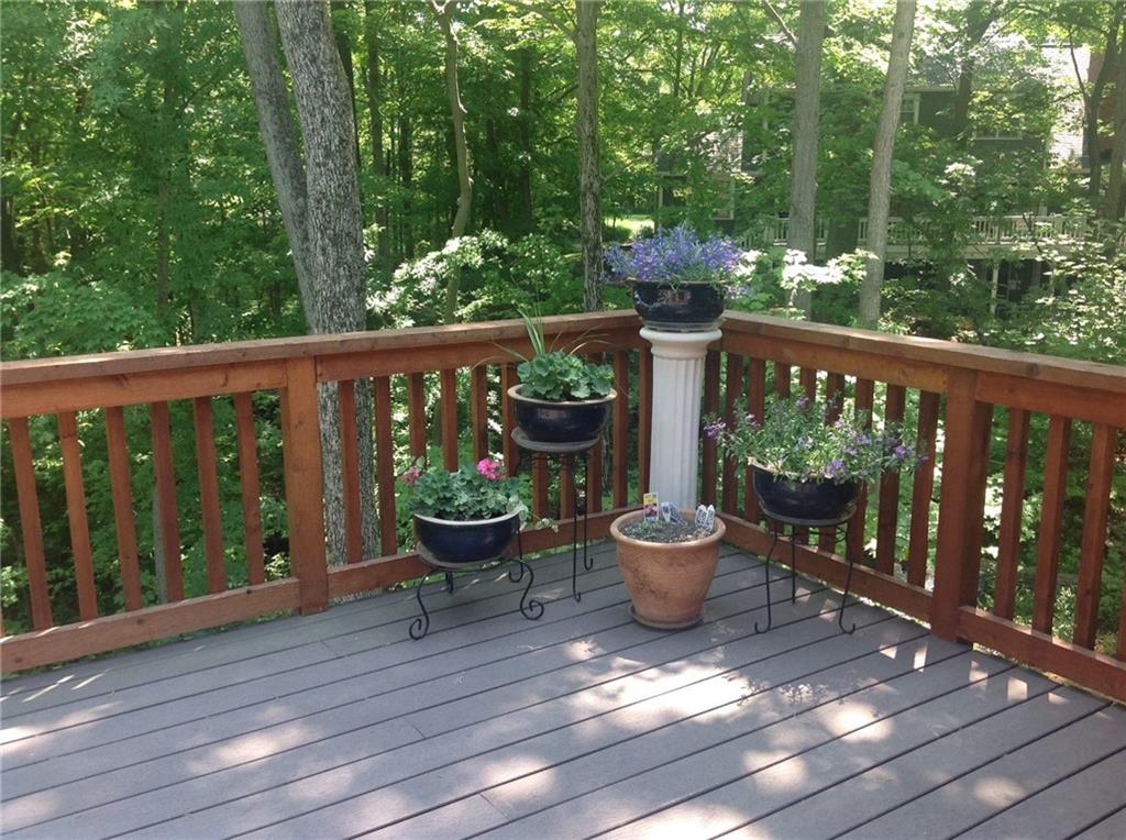 8309 Spring Ridge Lane Indianapolis, IN 46278 - Photo 45 of 57 Gallery Image 45