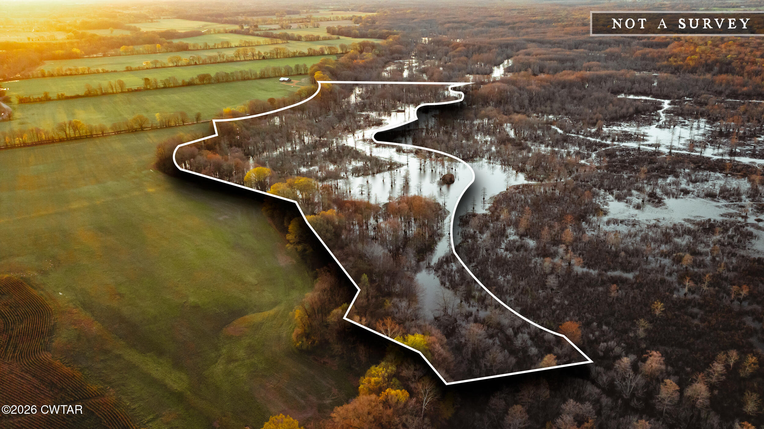 DJI_20260313074749_0029_D