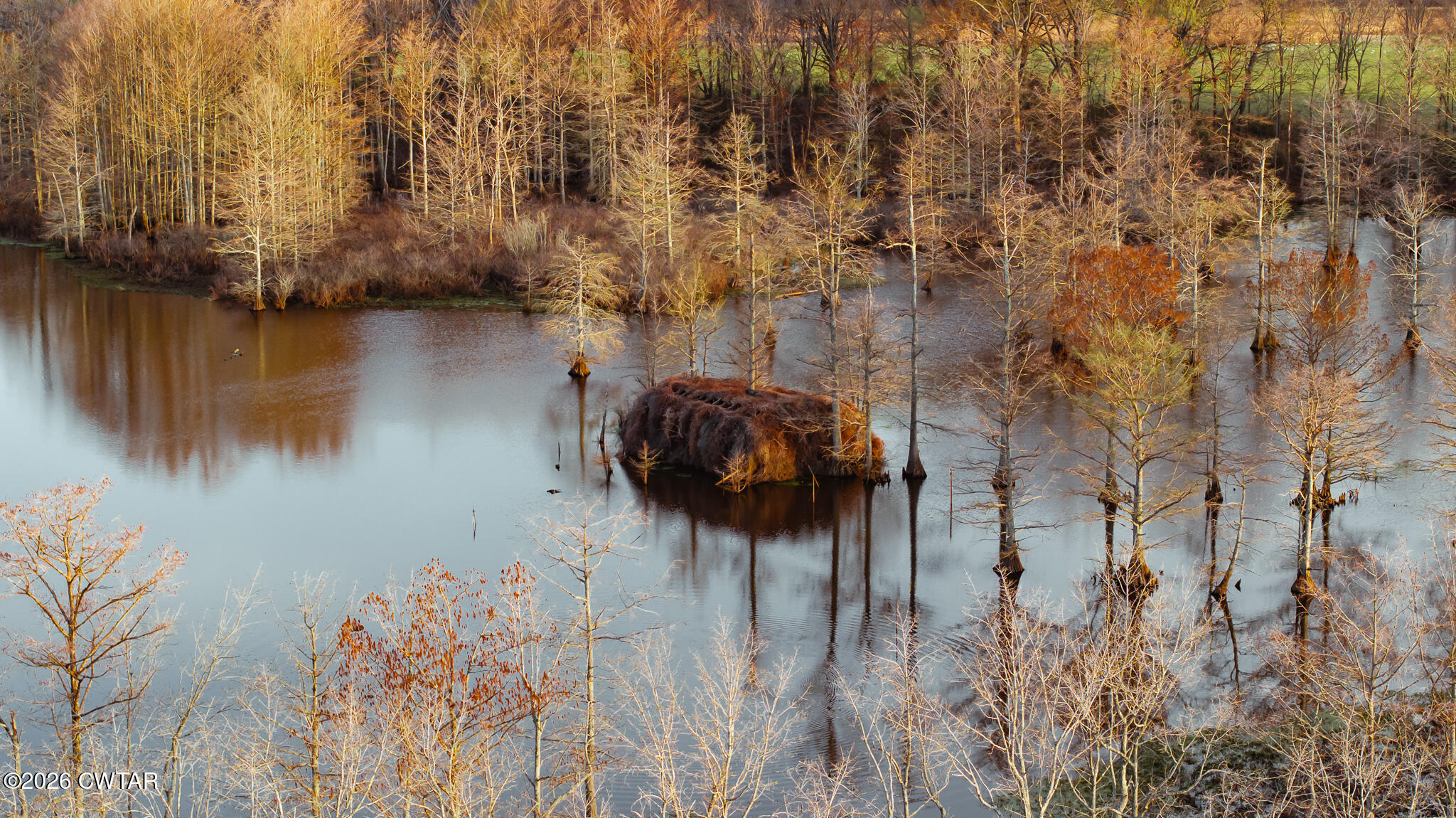 0 Bluff Road Trenton, TN 38382 - Photo 26 of 43 DJI_20260313080523_0080_D