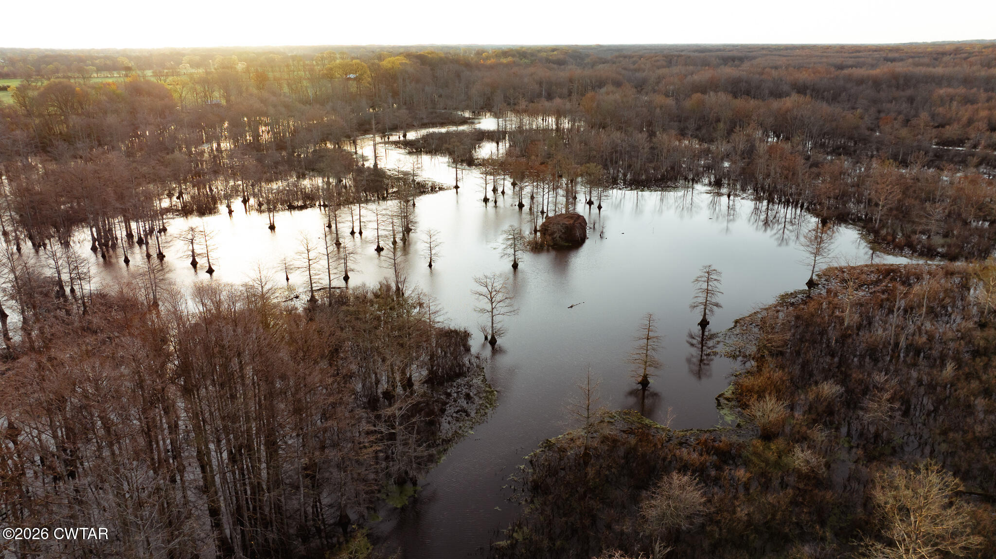 0 Bluff Road Trenton, TN 38382 - Photo 32 of 43 DJI_20260313080353_0076_D