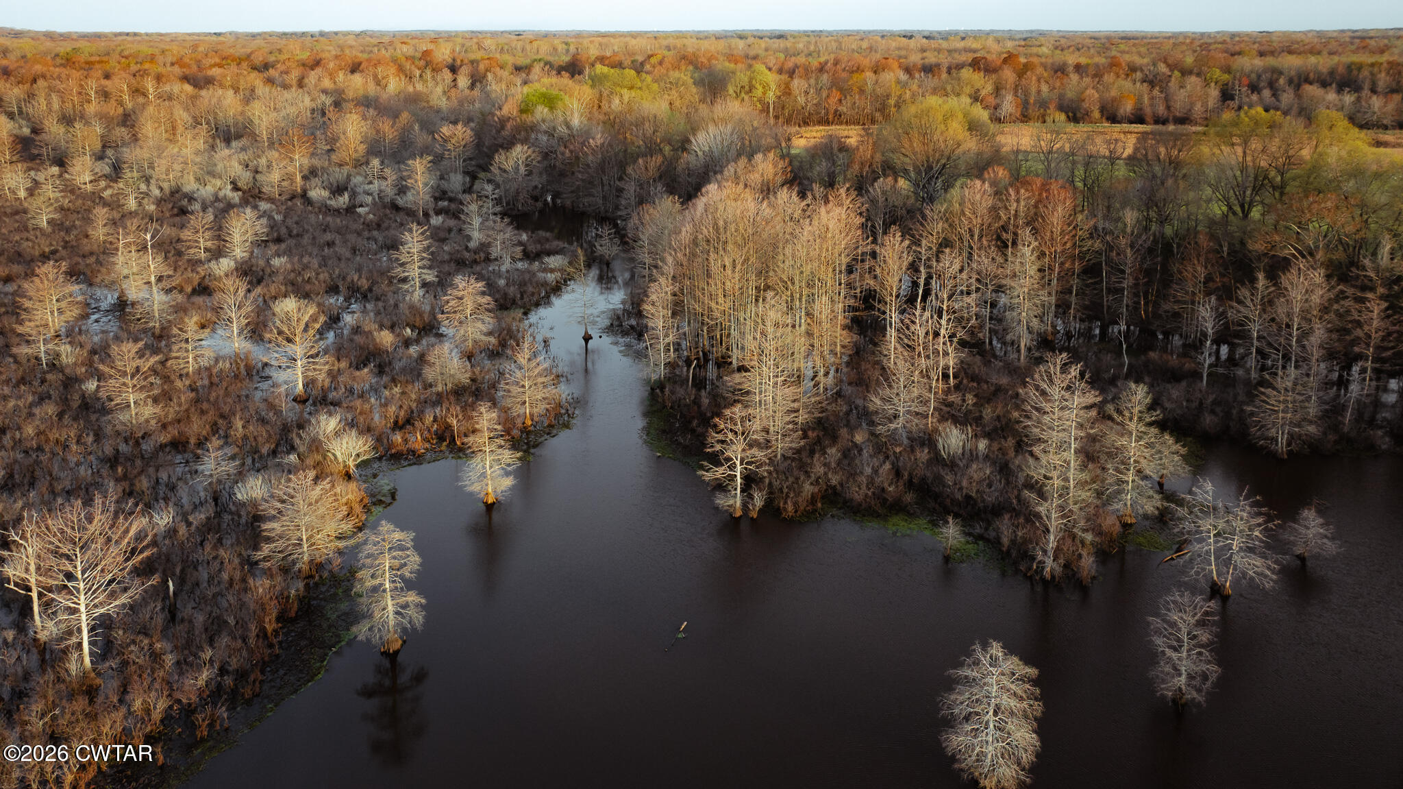 0 Bluff Road Trenton, TN 38382 - Photo 34 of 43 DJI_20260313080328_0075_D