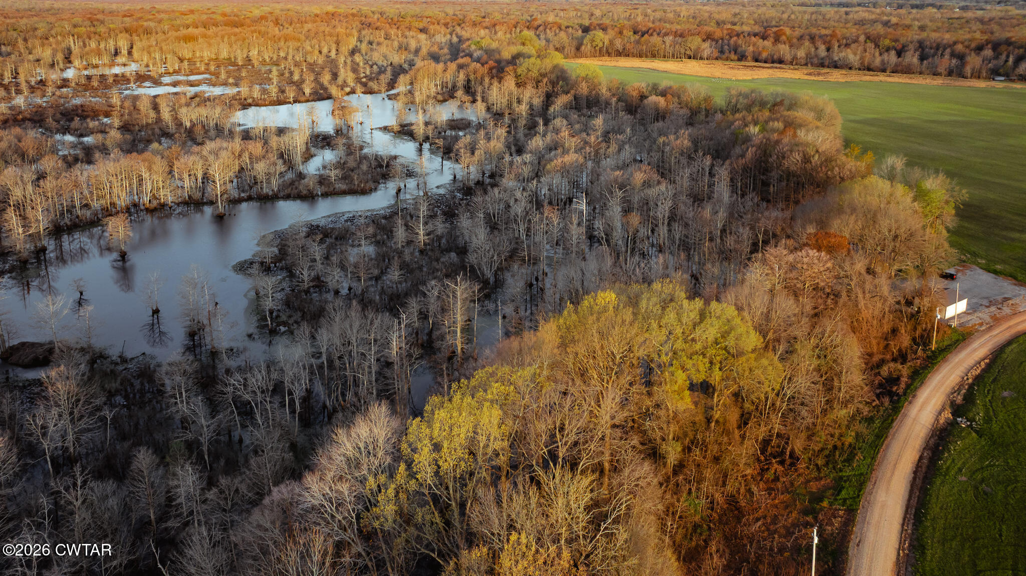 0 Bluff Road Trenton, TN 38382 - Photo 35 of 43 DJI_20260313080122_0069_D