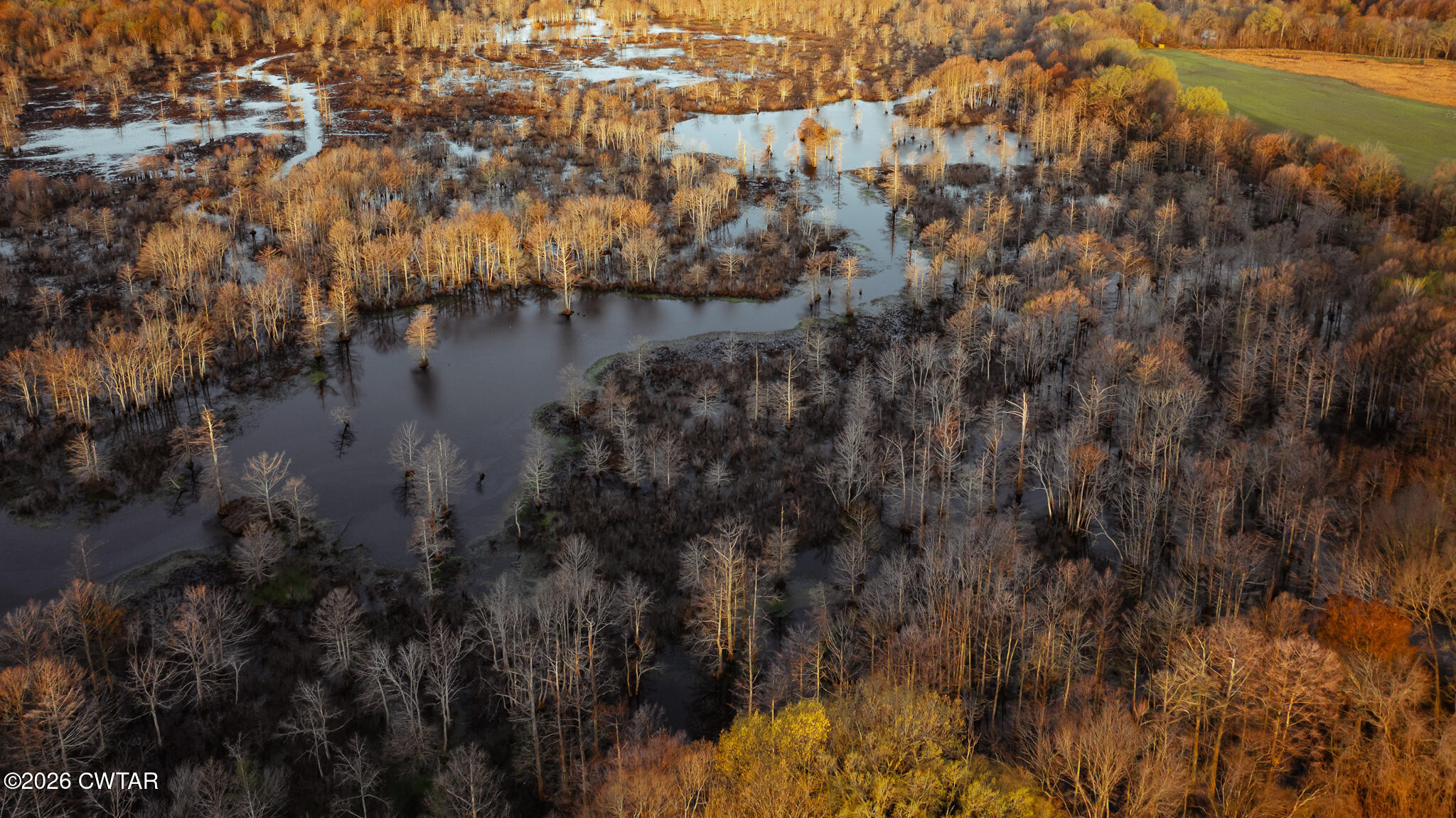0 Bluff Road Trenton, TN 38382 - Photo 39 of 43 DJI_20260313080025_0066_D