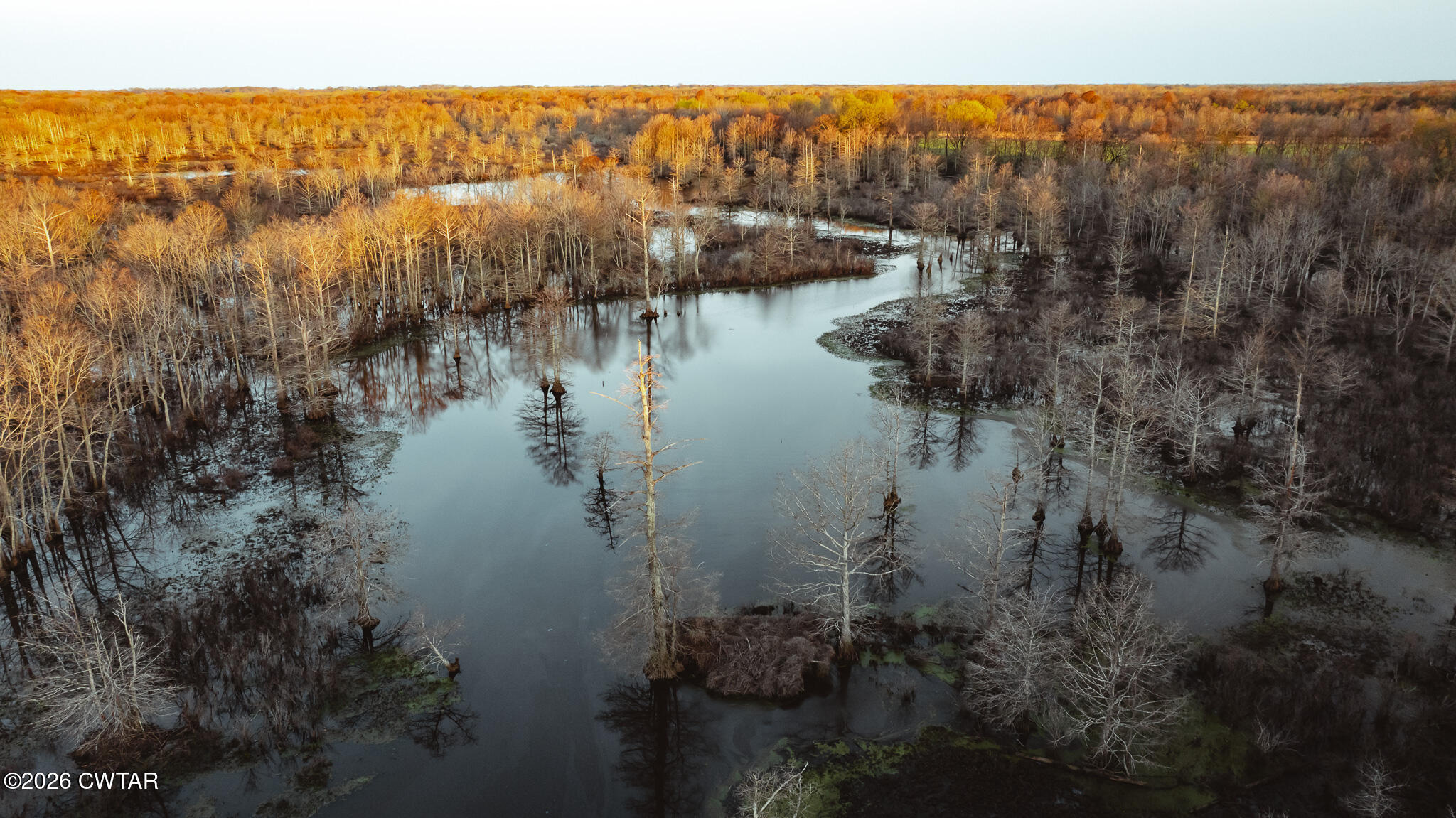 0 Bluff Road Trenton, TN 38382 - Photo 41 of 43 DJI_20260313075244_0044_D