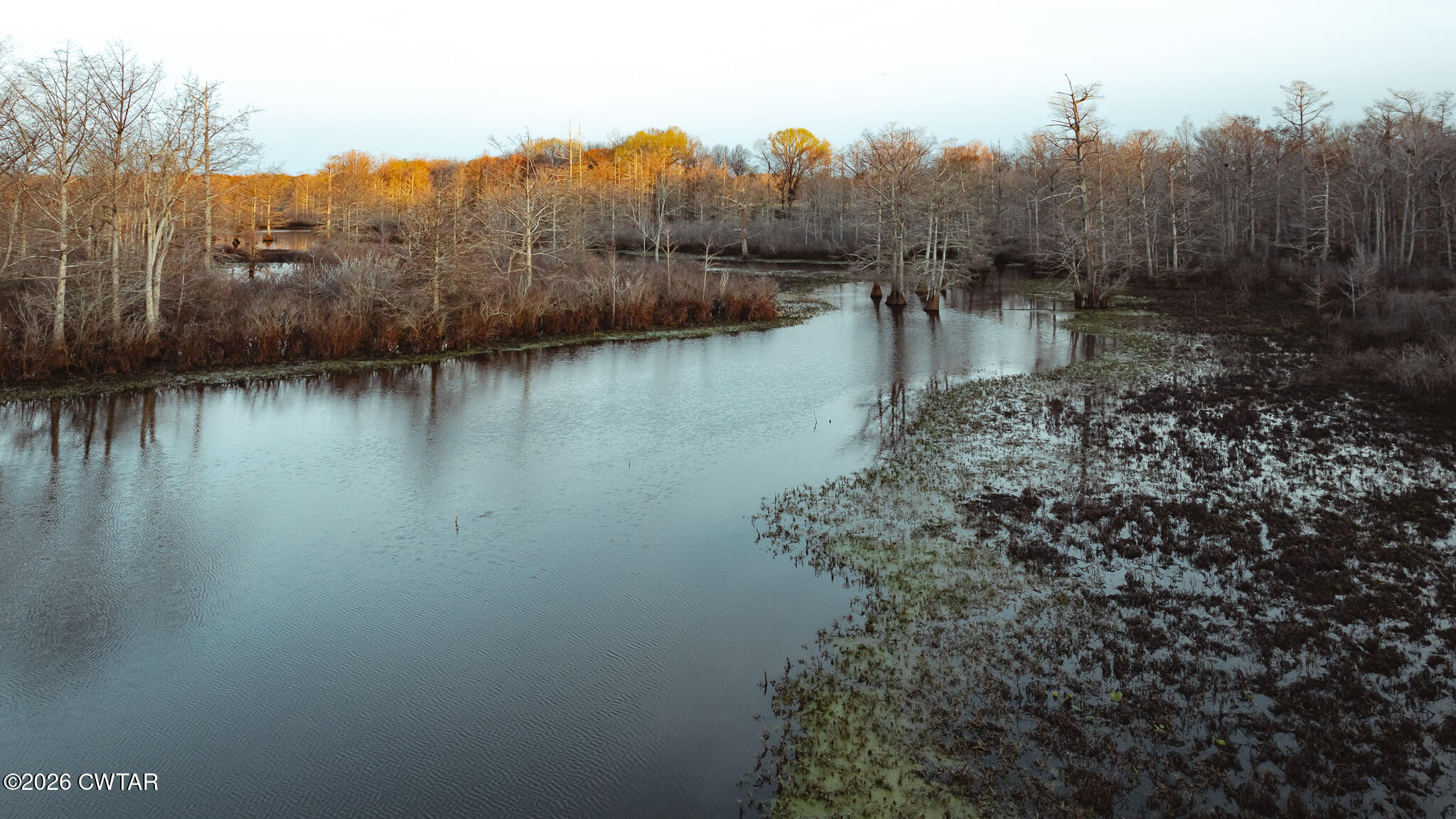 0 Bluff Road Trenton, TN 38382 - Photo 42 of 43 DJI_20260313075342_0048_D