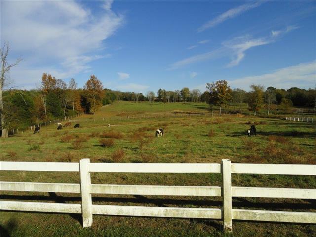 0 Anthony Road Wartrace, TN 37183 - Photo 3 of 16 Gallery Image 3