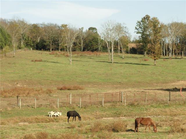 0 Anthony Road Wartrace, TN 37183 - Photo 8 of 16 Gallery Image 8