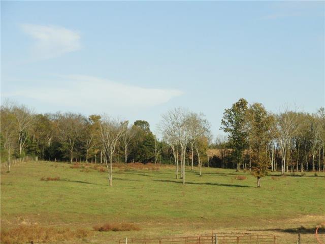 0 Anthony Road Wartrace, TN 37183 - Photo 9 of 16 Gallery Image 9