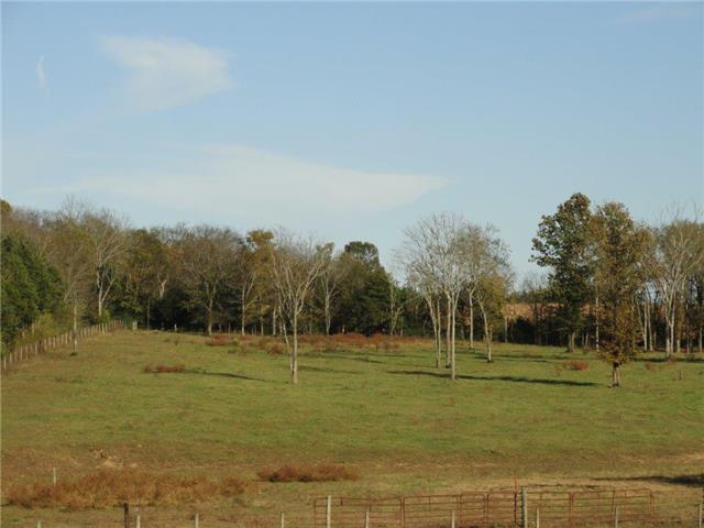 0 Anthony Road Wartrace, TN 37183 - Photo 10 of 16 Gallery Image 10