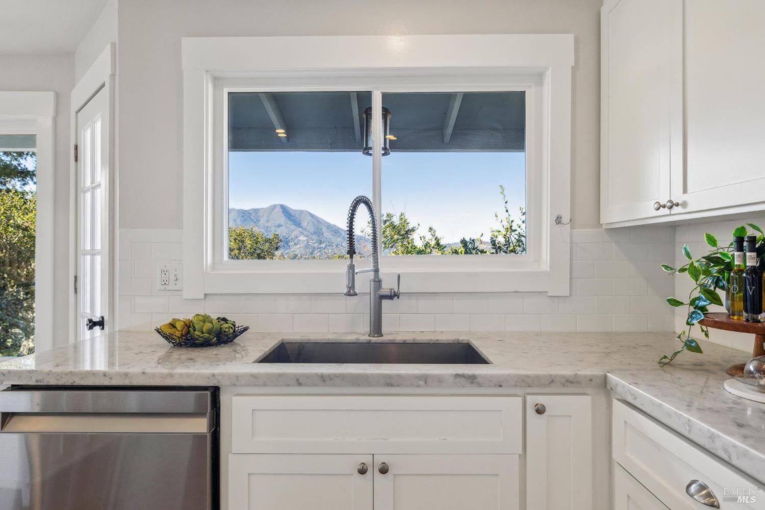 981 Greenhill Road Mill Valley, CA 94941 - Photo 21 of 91 a kitchen with a sink and potted plant