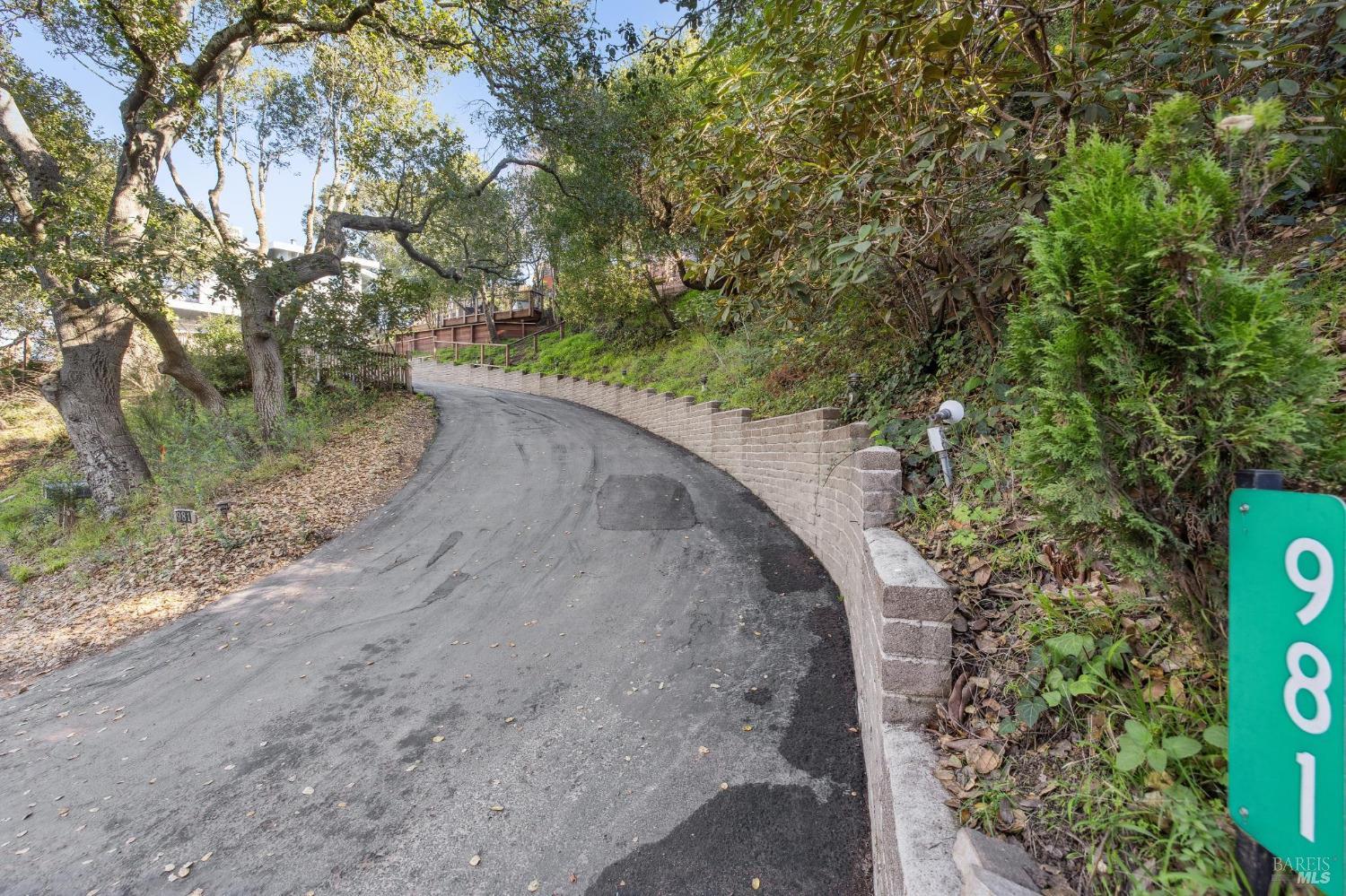 981 Greenhill Road Mill Valley, CA 94941 - Photo 5 of 91