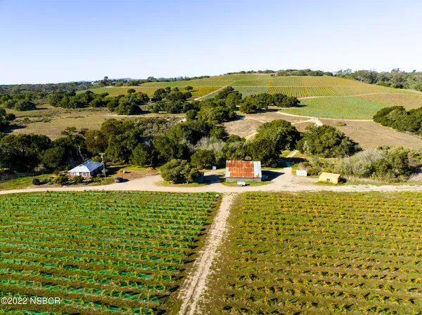 an aerial view of forest