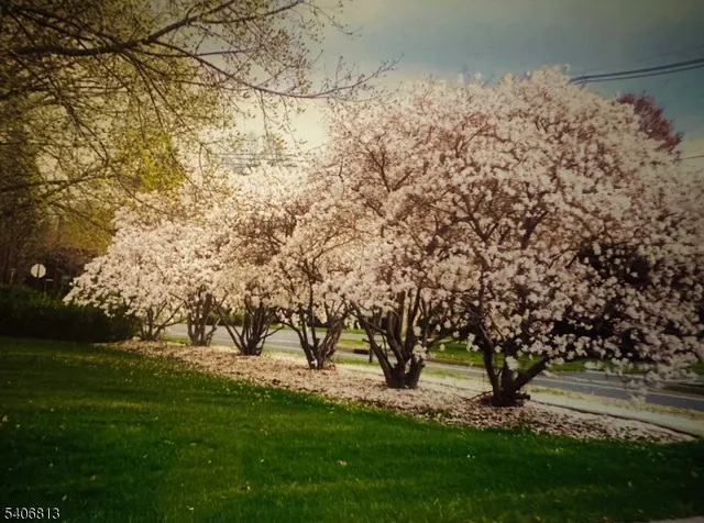 $999,999 | 4 Highfield Court, Wayne, NJ 07470