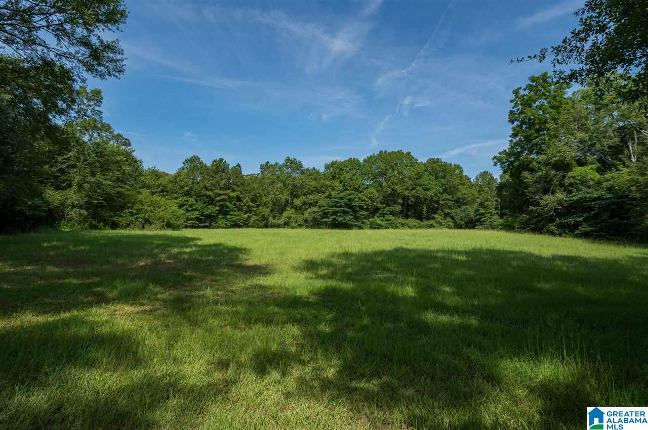 10929 Jackson Trace Road Lincoln, AL 35096 - Photo 35 of 50