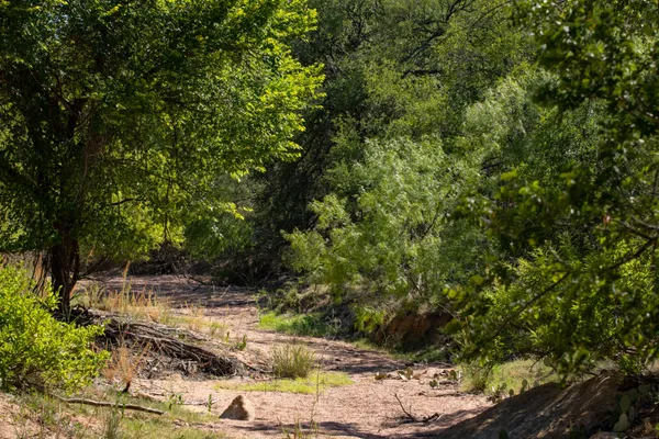 $2,350,000 | 1895 North US Highway 87, Mason, TX 76856