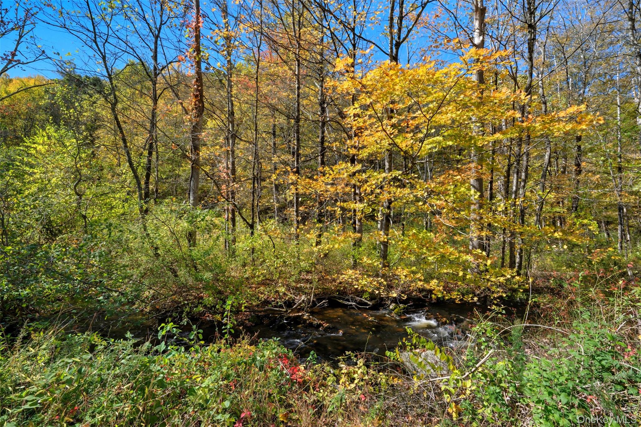 Wiccopee Road Putnam Valley, NY 10579 - Photo 14 of 16 View of nature