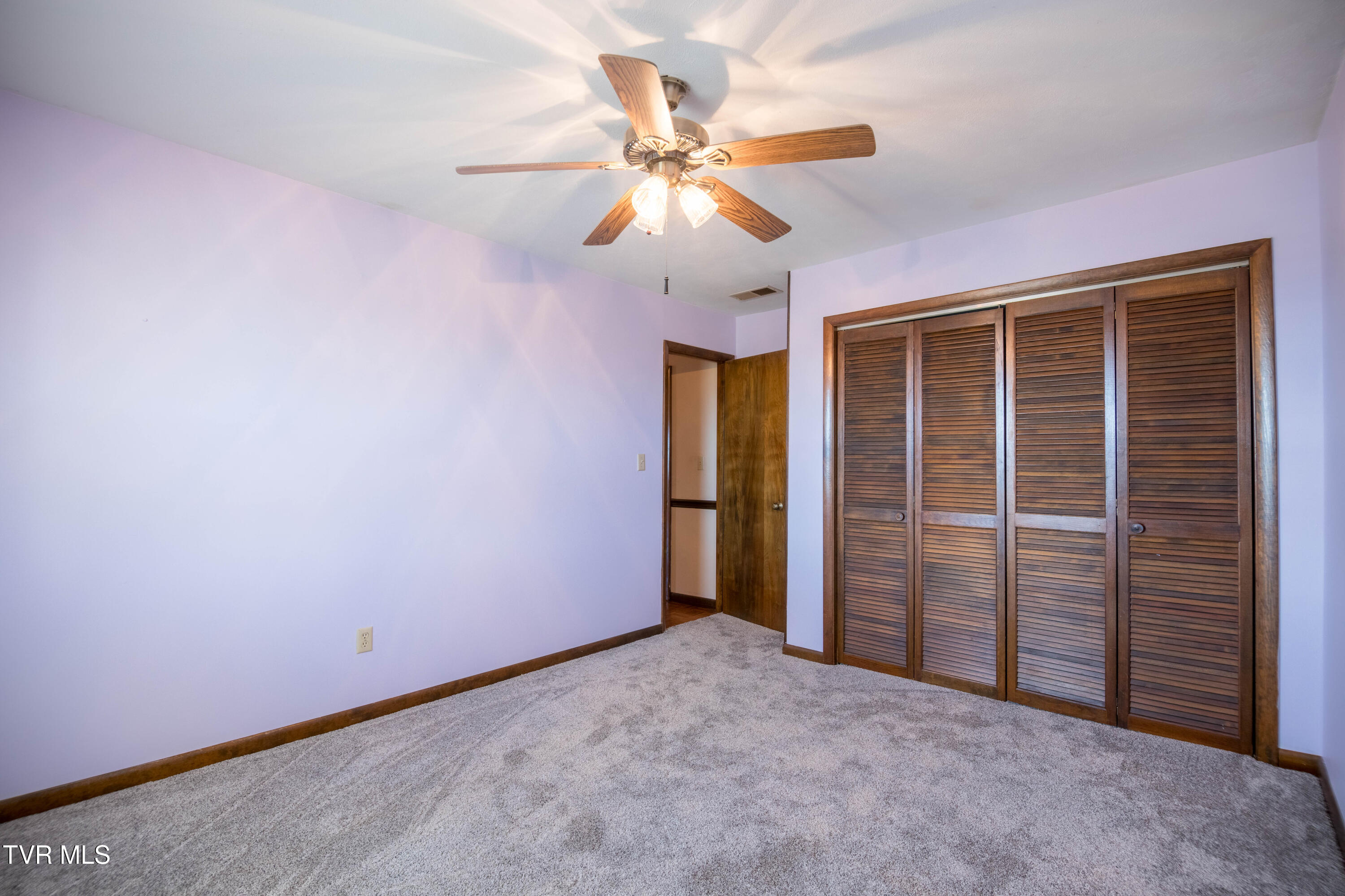 100 Mingo Trail Greeneville, TN 37743 - Photo 19 of 52 087A0813-HDR