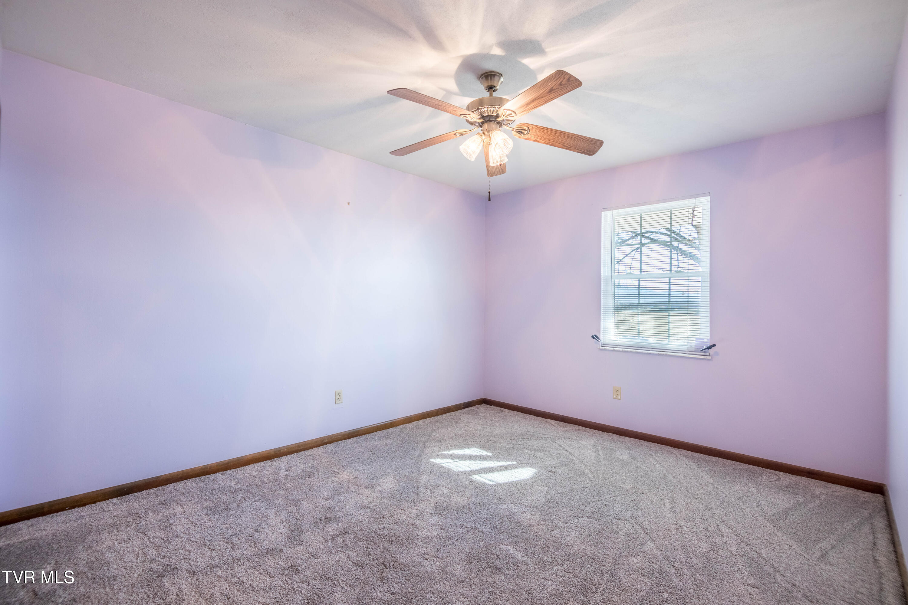 100 Mingo Trail Greeneville, TN 37743 - Photo 20 of 52 087A0810-HDR