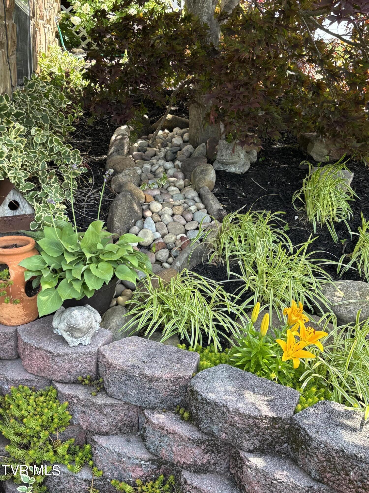 100 Mingo Trail Greeneville, TN 37743 - Photo 33 of 52 IMG_3416