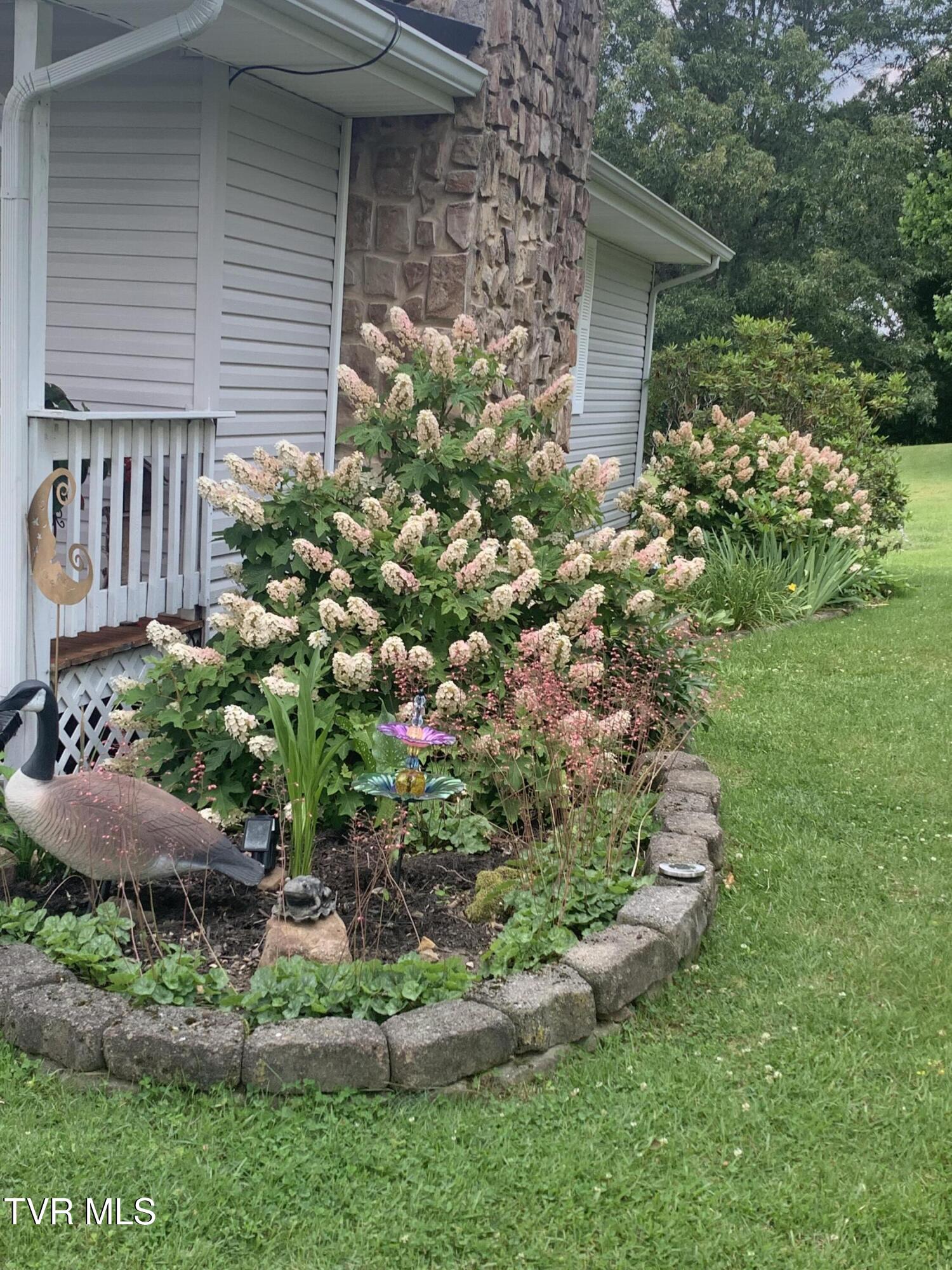 100 Mingo Trail Greeneville, TN 37743 - Photo 36 of 52 IMG_0738