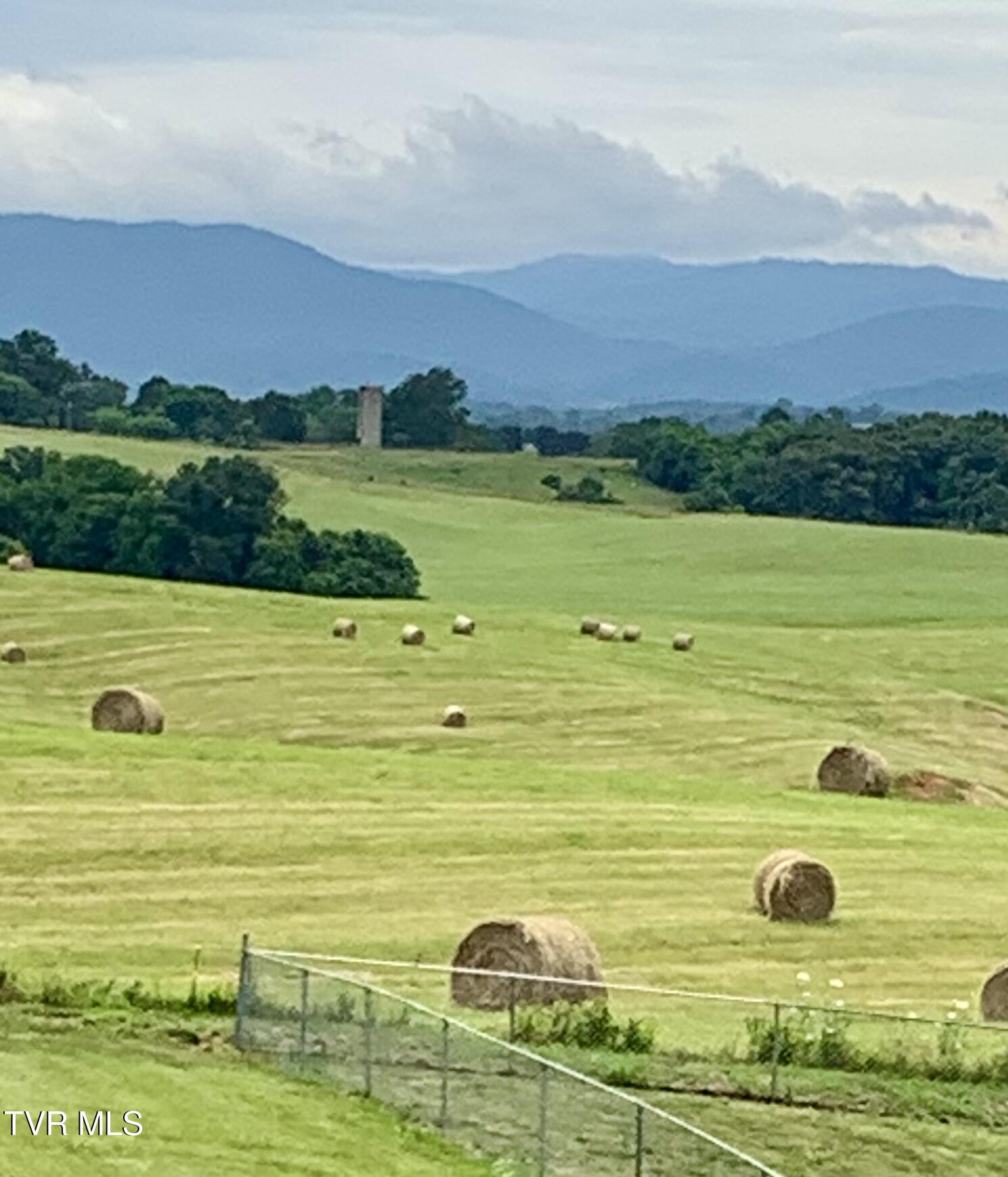 100 Mingo Trail Greeneville, TN 37743 - Photo 37 of 52 IMG_0781