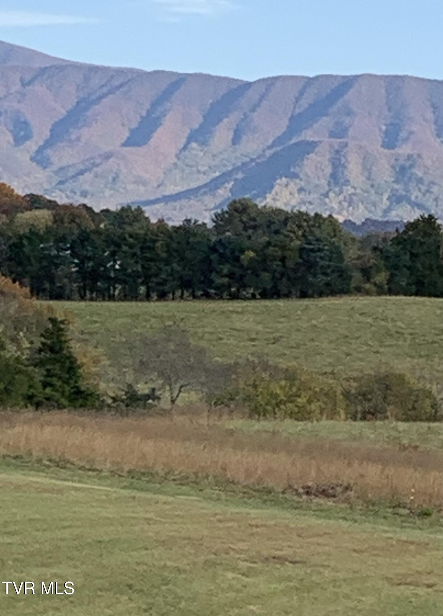 100 Mingo Trail Greeneville, TN 37743 - Photo 38 of 52 FullSizeRender