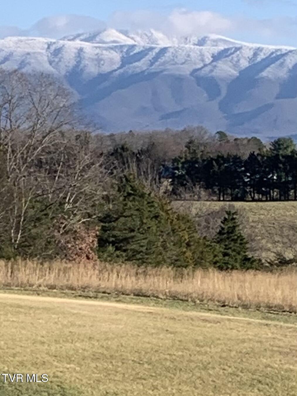 100 Mingo Trail Greeneville, TN 37743 - Photo 39 of 52 FullSizeRender