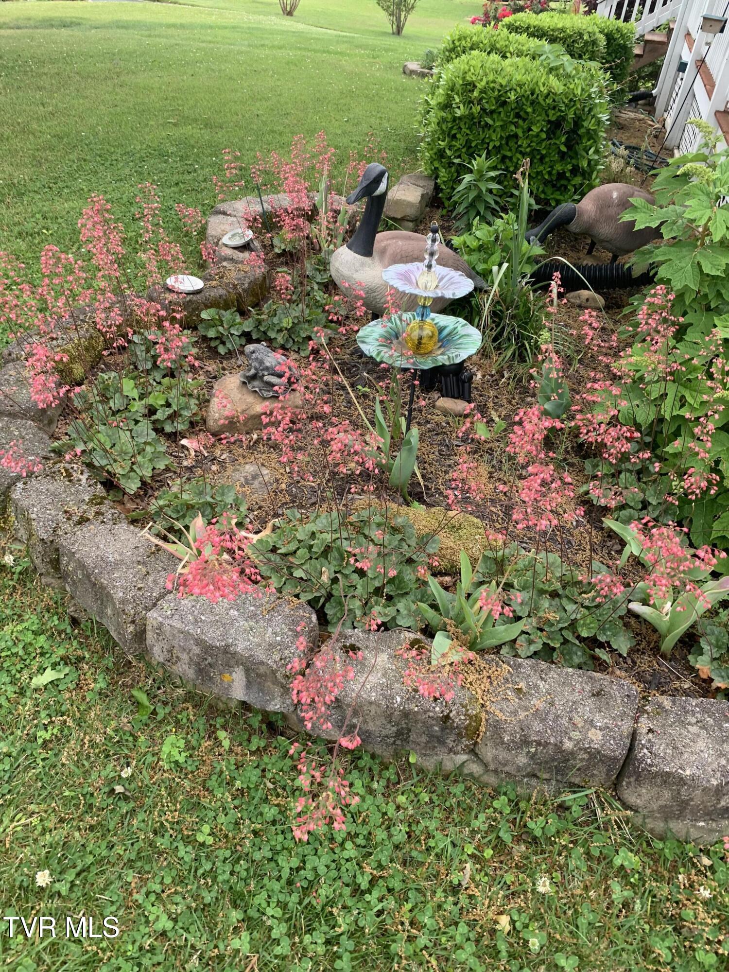 100 Mingo Trail Greeneville, TN 37743 - Photo 40 of 52 IMG_1885