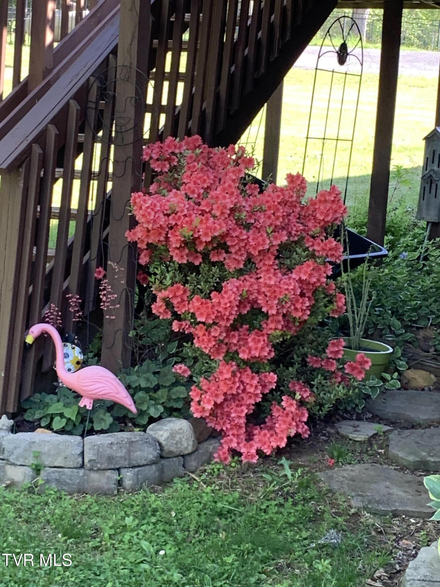 100 Mingo Trail Greeneville, TN 37743 - Photo 42 of 52 IMG_1827