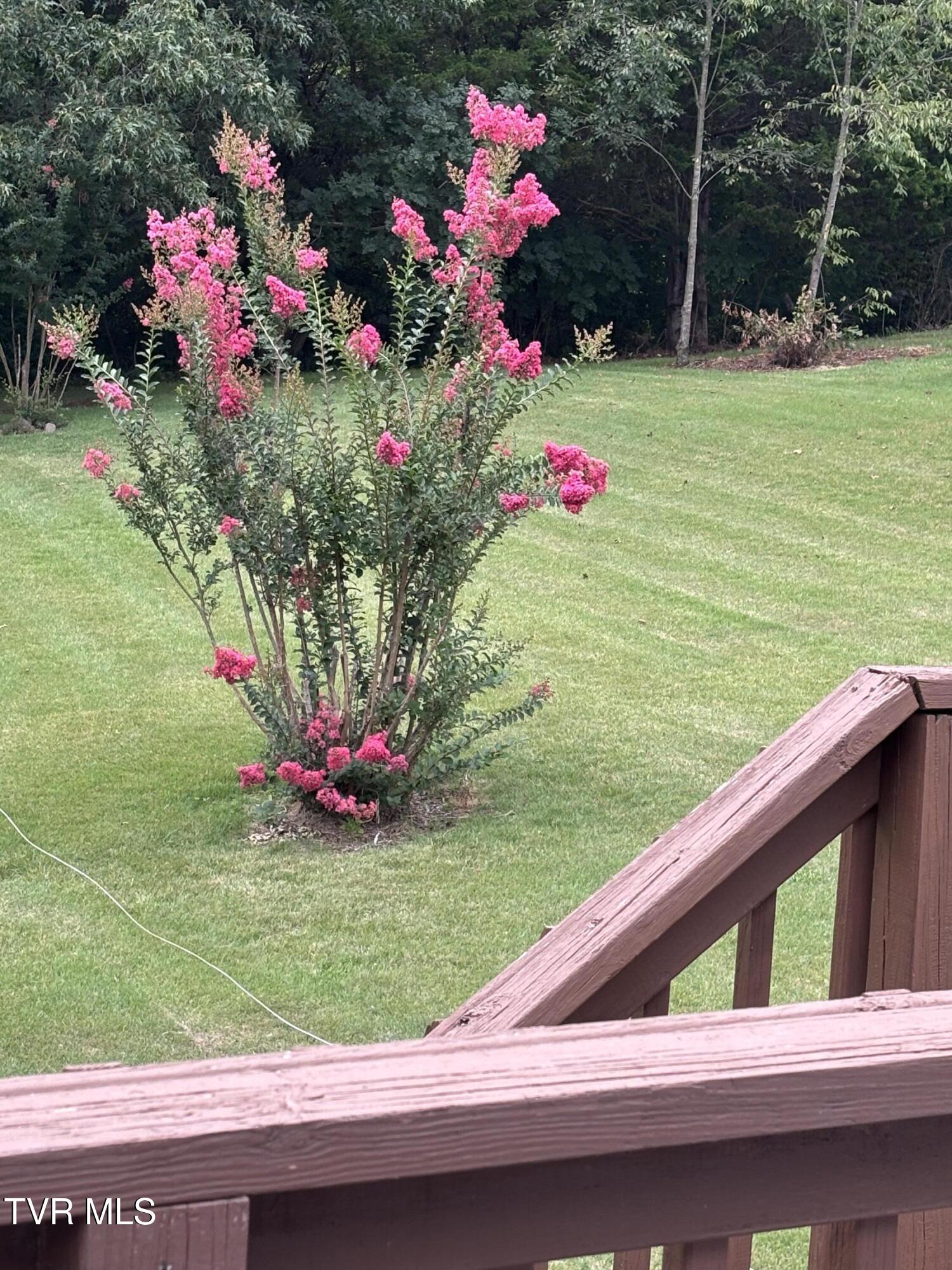 100 Mingo Trail Greeneville, TN 37743 - Photo 44 of 52 IMG_3850