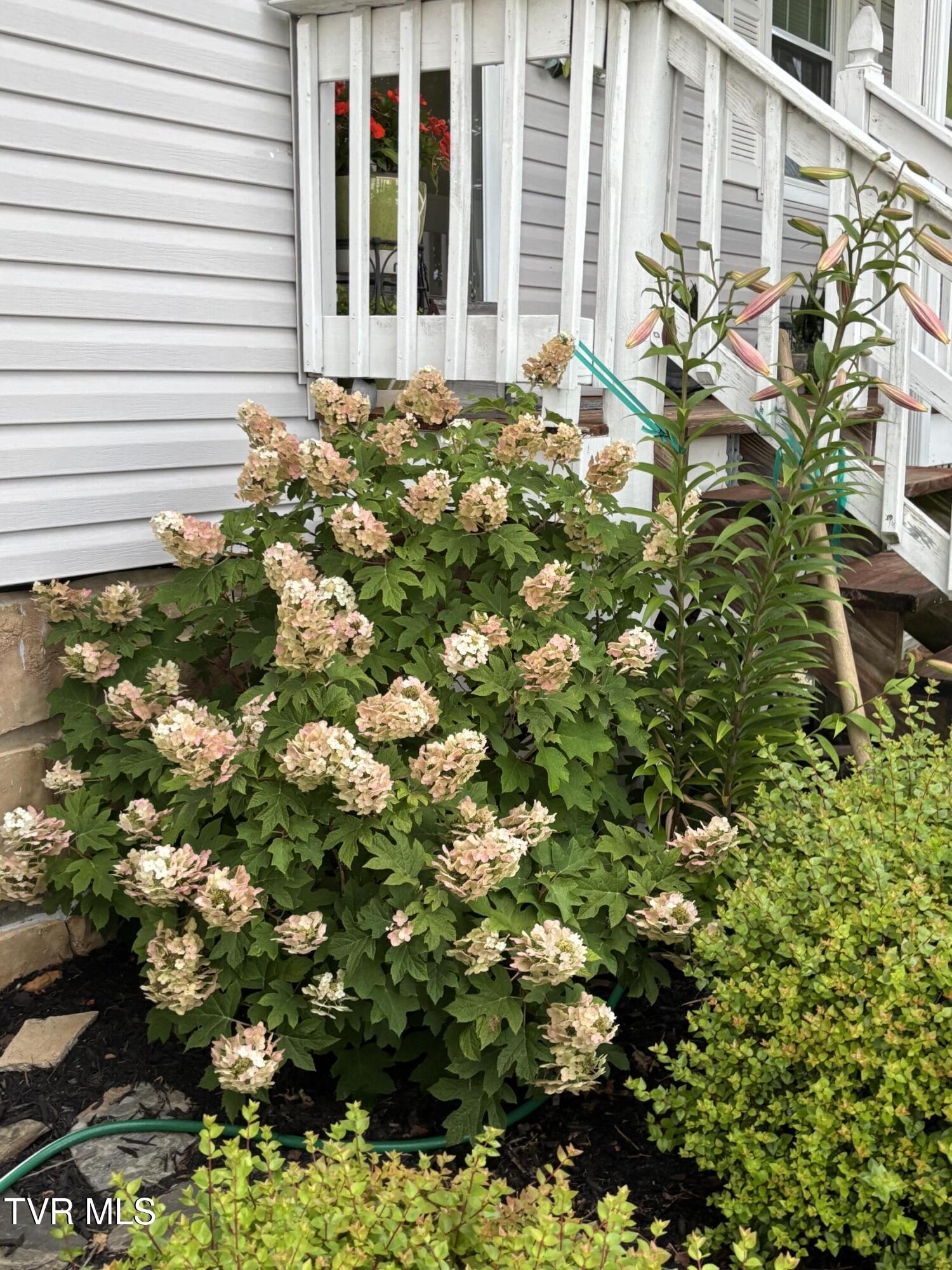 100 Mingo Trail Greeneville, TN 37743 - Photo 49 of 52 IMG_3619