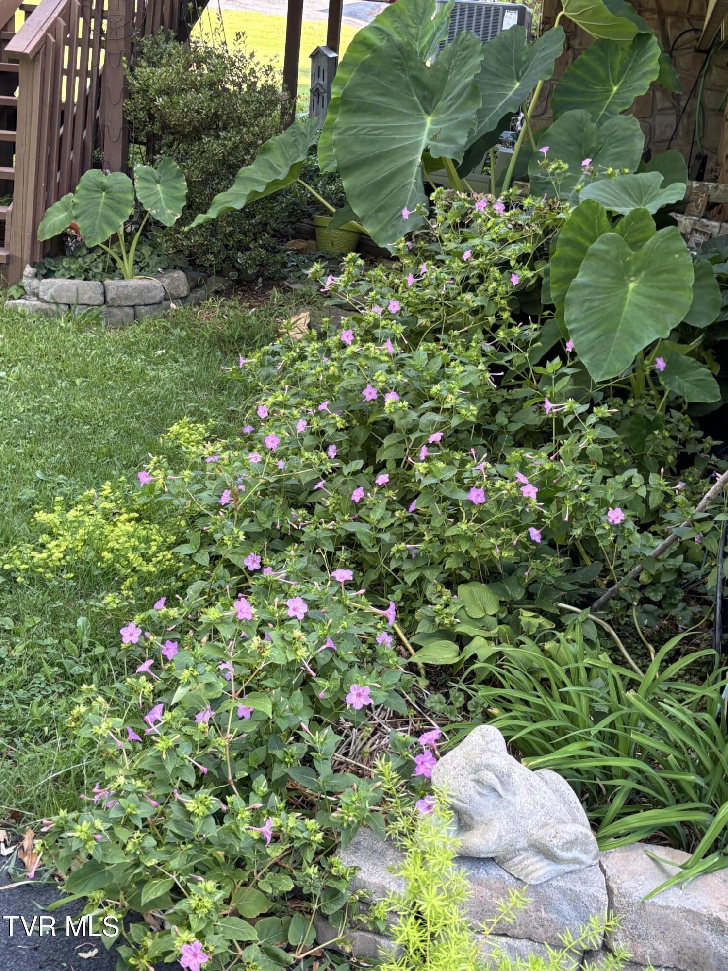 100 Mingo Trail Greeneville, TN 37743 - Photo 51 of 52 IMG_3896