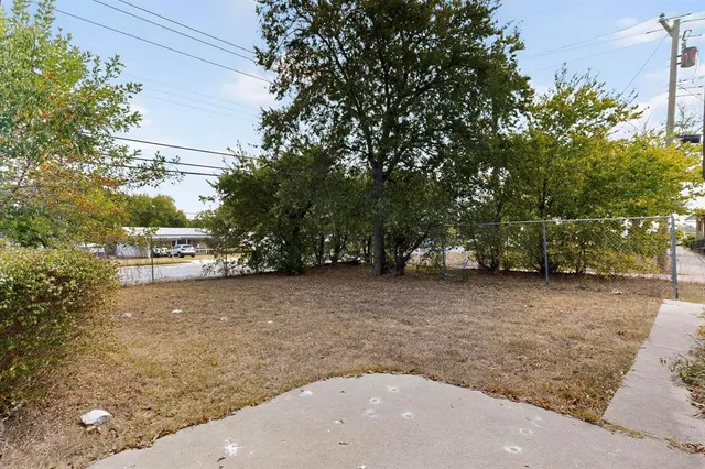 a view of a yard with plants and trees