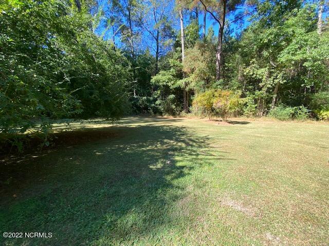 96 Biggs Road Washington, NC 27889 - Photo 11 of 11 IMG_3004