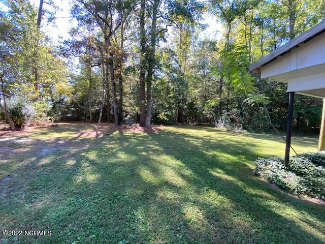 96 Biggs Road Washington, NC 27889 - Photo 8 of 11 IMG_2999