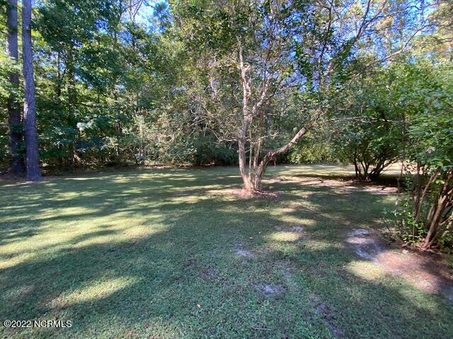 96 Biggs Road Washington, NC 27889 - Photo 10 of 11 IMG_3003