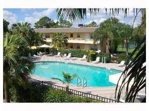 a view of a swimming pool with a bench