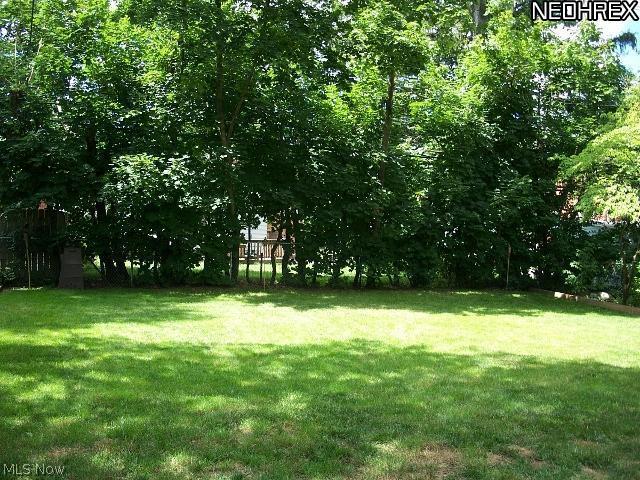 4084 Lambert Road Cleveland, OH 44121 - Photo 18 of 22 Back yard private and fenced