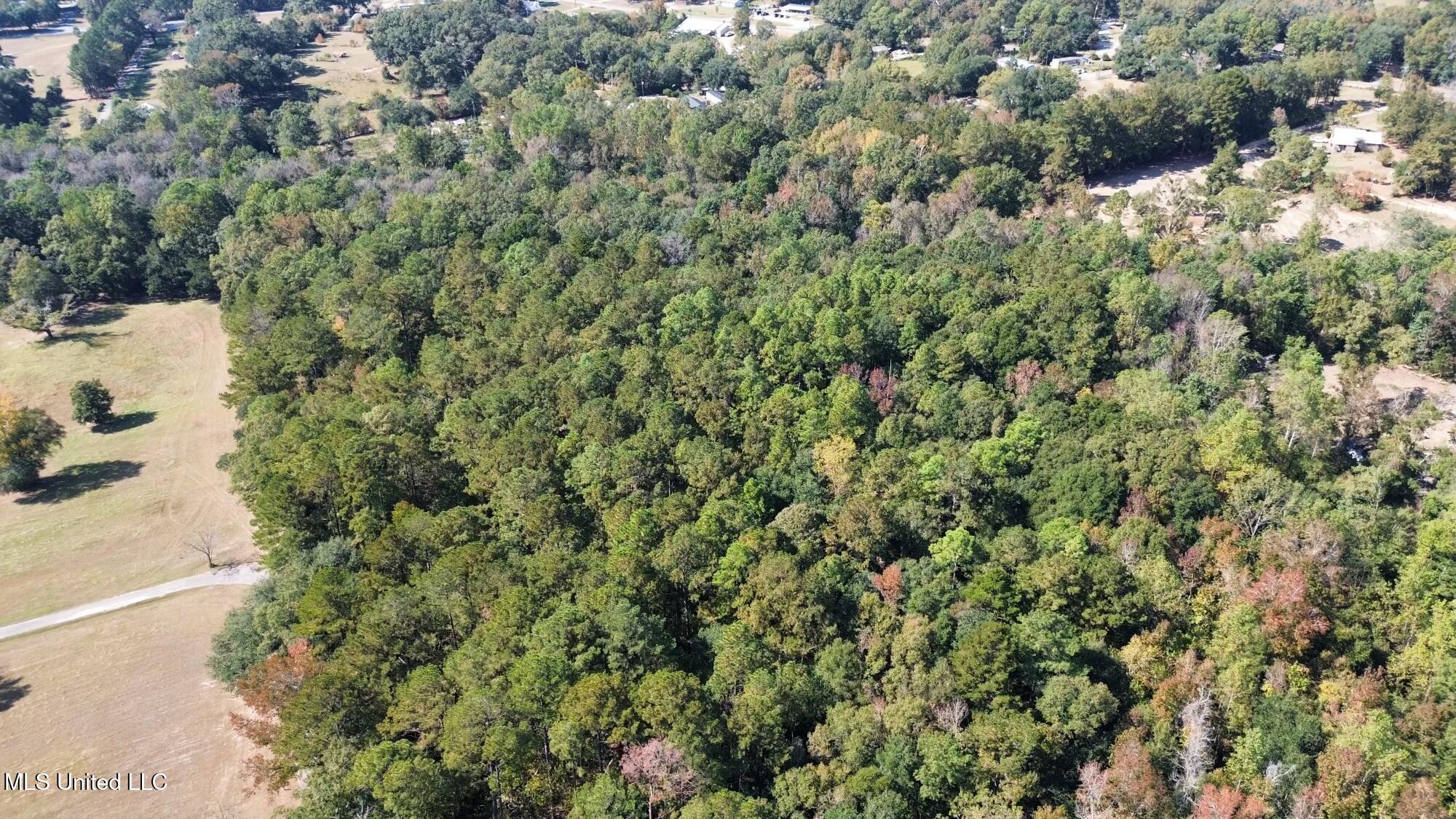 Nsn Twin Creek Road Lucedale, MS 39452 - Photo 15 of 21 dji_fly_20241025_134832_267_172988888058