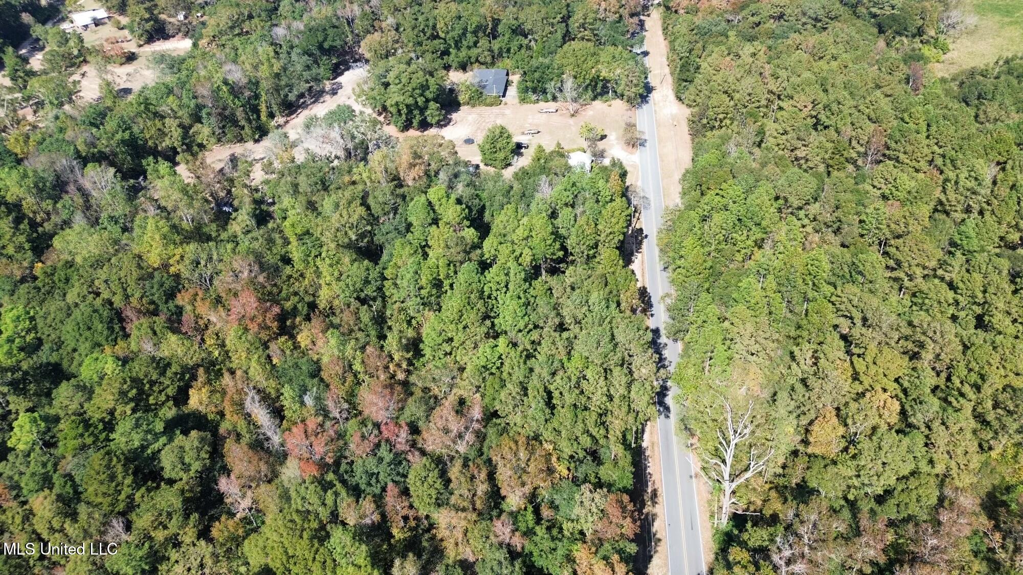 Nsn Twin Creek Road Lucedale, MS 39452 - Photo 16 of 21 dji_fly_20241025_134850_272_172988888008