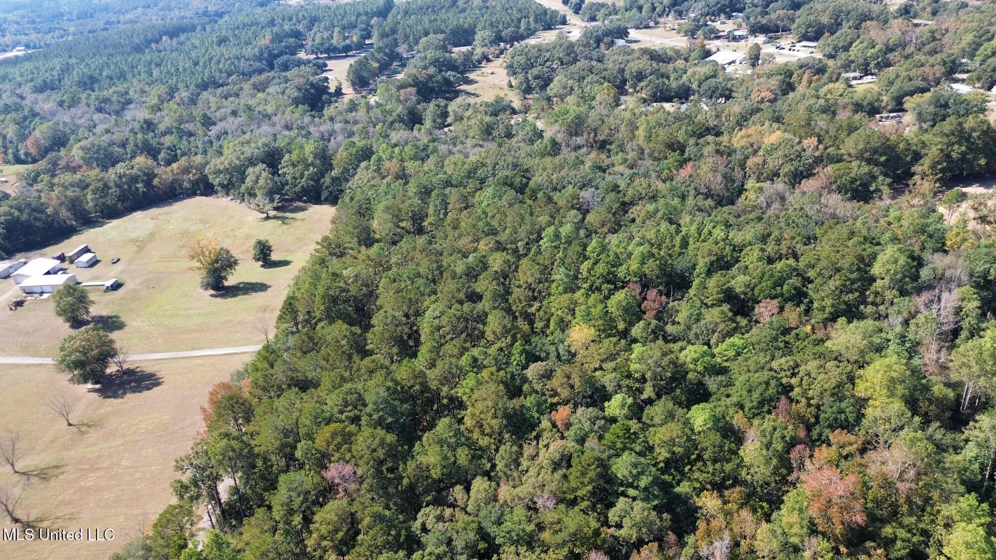 Nsn Twin Creek Road Lucedale, MS 39452 - Photo 17 of 21 dji_fly_20241025_134804_263_172988887868