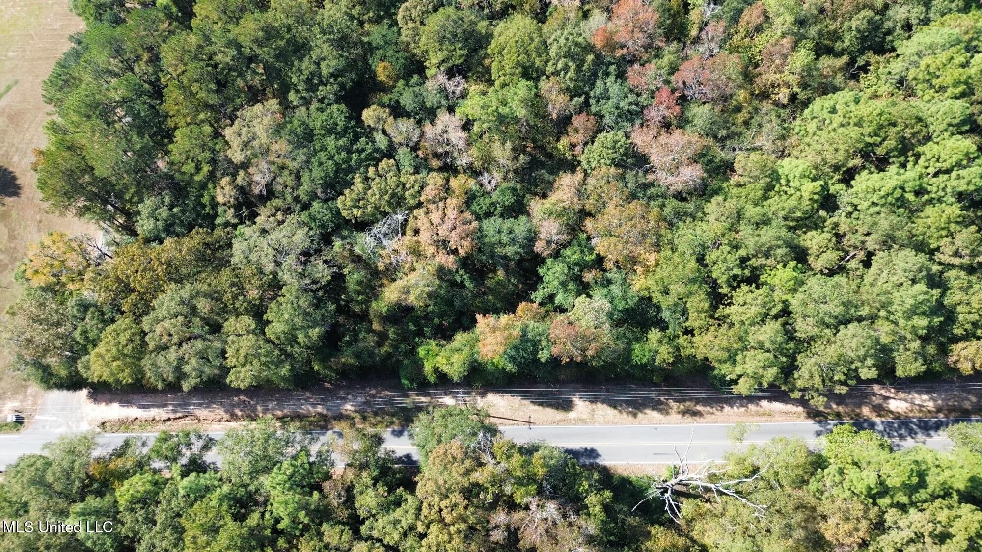Nsn Twin Creek Road Lucedale, MS 39452 - Photo 18 of 21 dji_fly_20241025_134754_260_172988887821