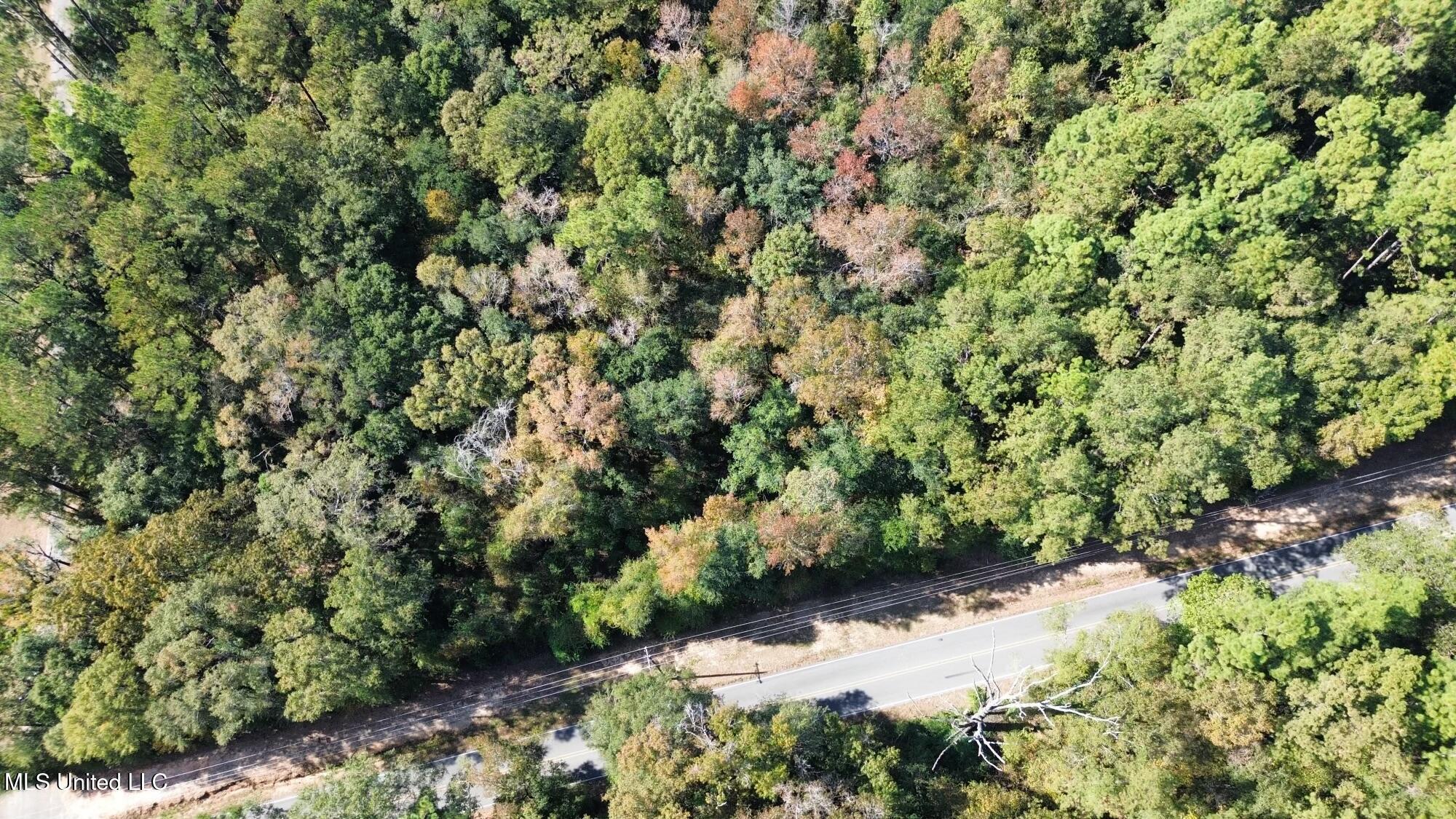 Nsn Twin Creek Road Lucedale, MS 39452 - Photo 19 of 21 dji_fly_20241025_134814_266_172988887770