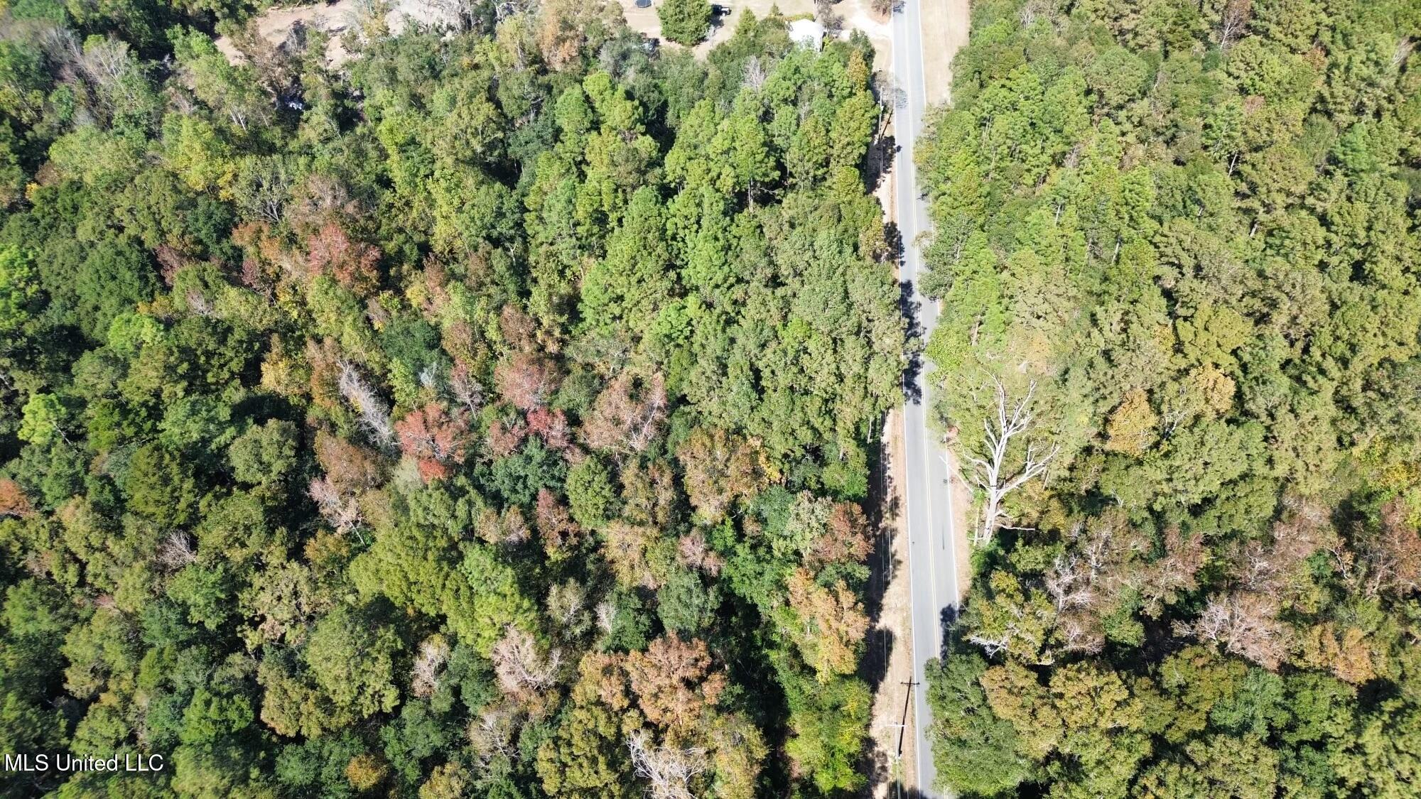 Nsn Twin Creek Road Lucedale, MS 39452 - Photo 20 of 21 dji_fly_20241025_134846_271_172988887702