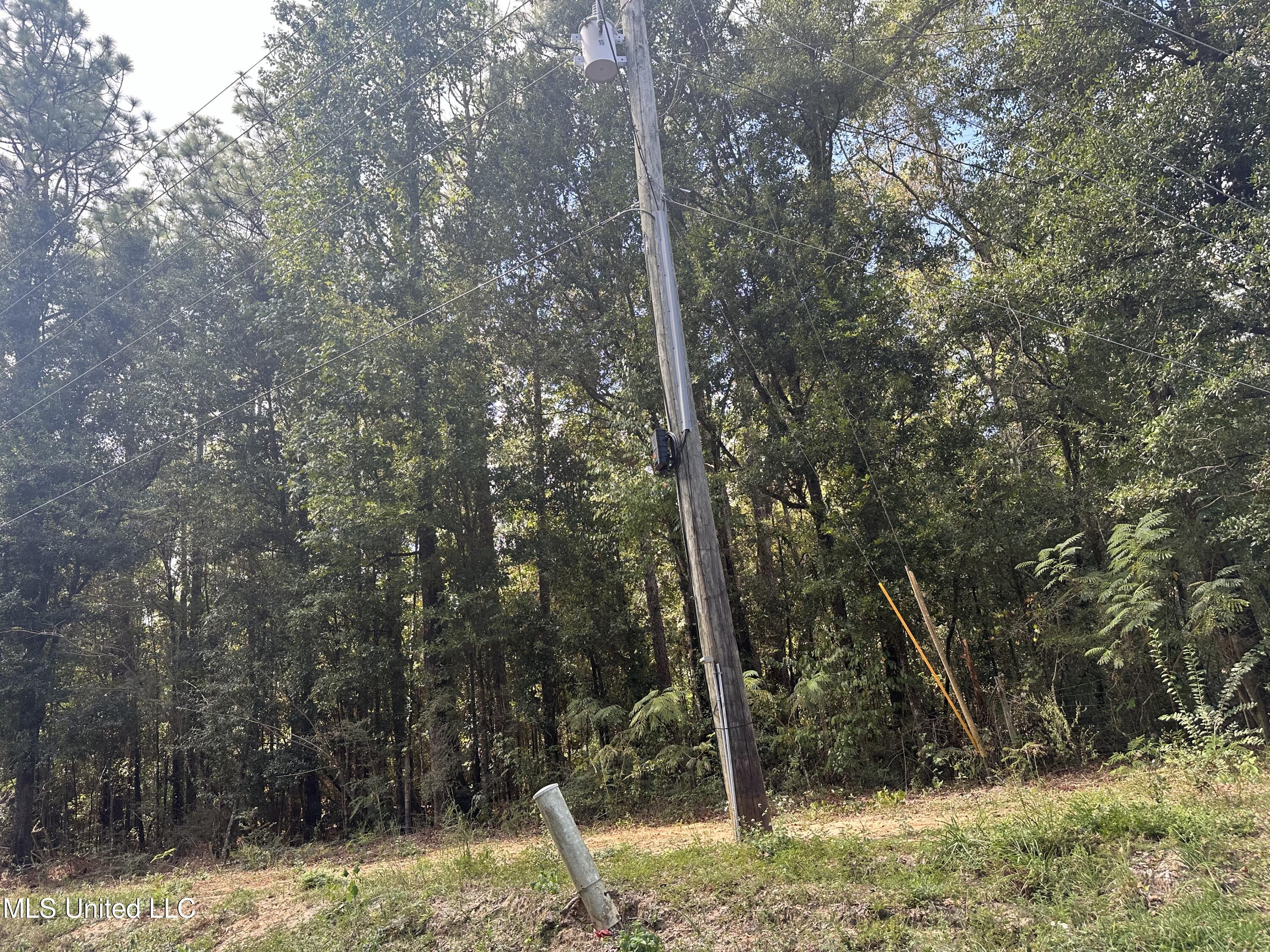 Nsn Twin Creek Road Lucedale, MS 39452 - Photo 10 of 21 IMG_8600